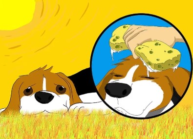 perro acalorado cuidados