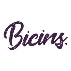 Seguros Monopatines Eléctricos (Bicins)